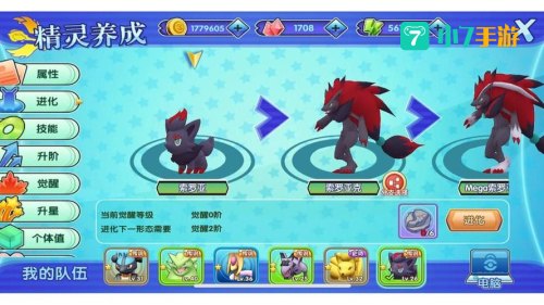 战斗宠物训练师在哪